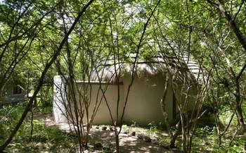 Bakwena Lodge Kasane Ngoại thất bức ảnh